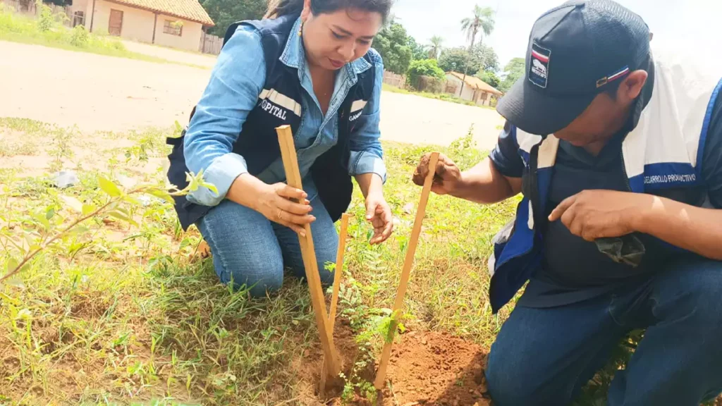 El Gobierno Autónomo Municipal de San Miguel de Velasco Inicia la Campaña de Arborización y Reforestación en el Municipio