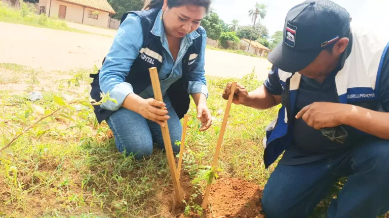 El Gobierno Autónomo Municipal de San Miguel de Velasco Inicia la Campaña de Arborización y Reforestación en el Municipio