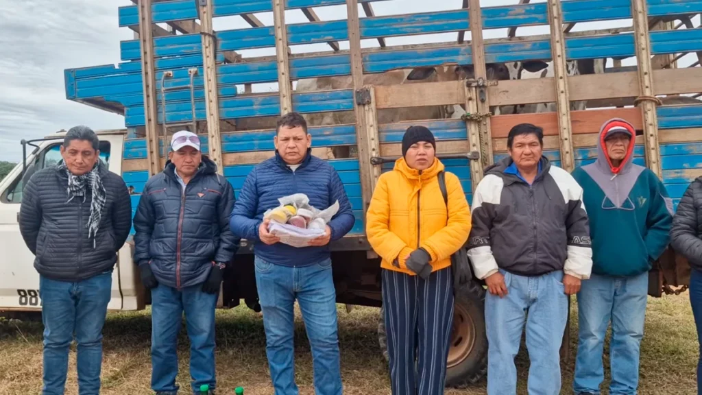 Gobierno Municipal de San Miguel de Velasco Fortalece la Producción Ganadera Comunal con Entrega de Vaquillas Lecheras y Homenaje a San Pedrito de Zapoco en su Aniversario